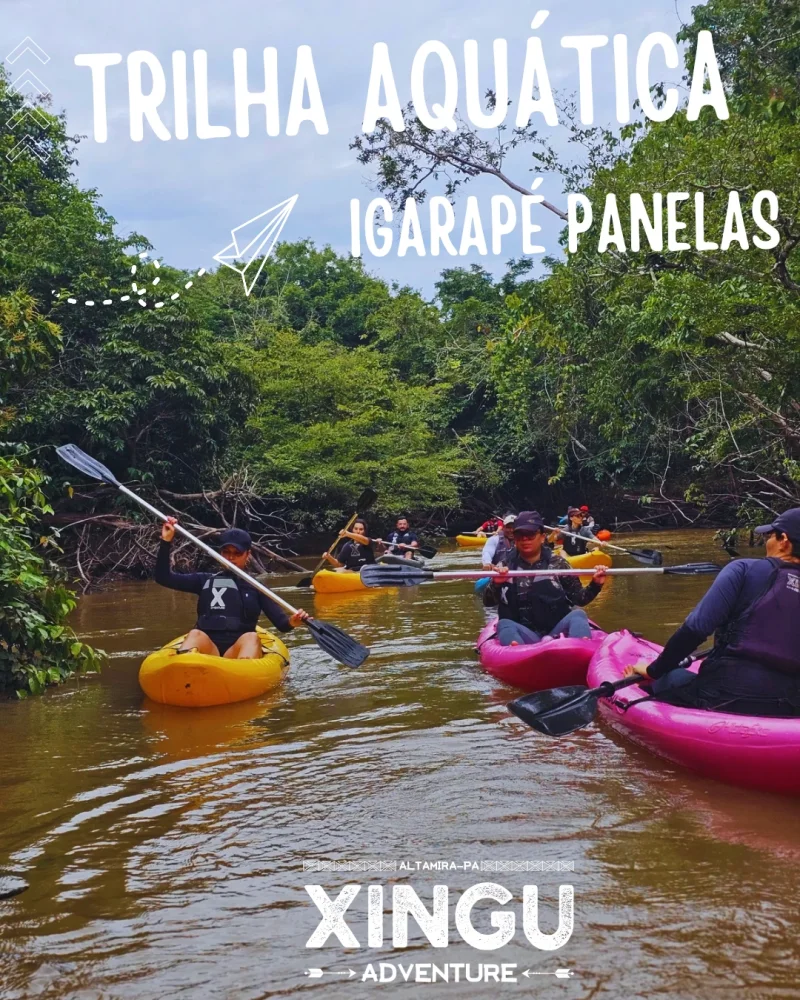 Trilha Aquática Igarapé Panelas