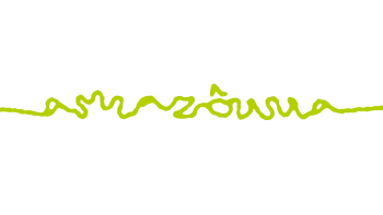 Feito de Amazônia